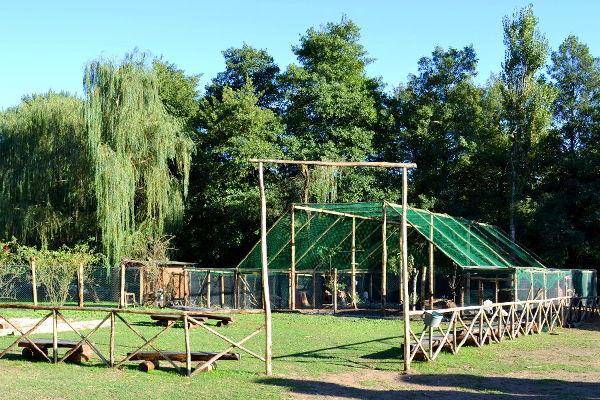Agriturismo La Sorgente Di Nepi Hotell Eksteriør bilde